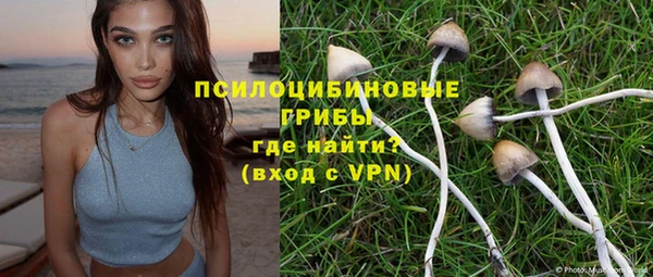 крисы Белоозёрский