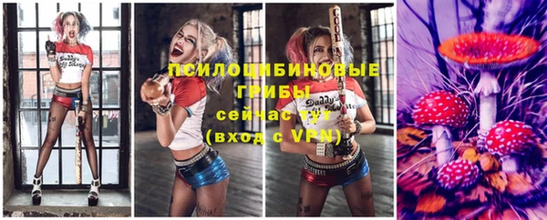 спайс Белокуриха