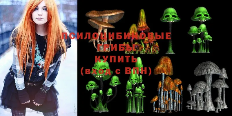 где найти   Горняк  Галлюциногенные грибы MAGIC MUSHROOMS 